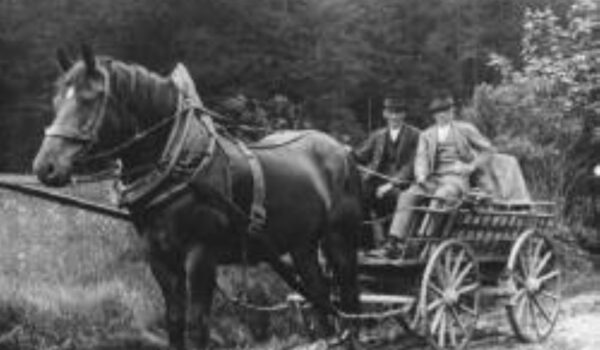 Ein klassisches Rosswagl