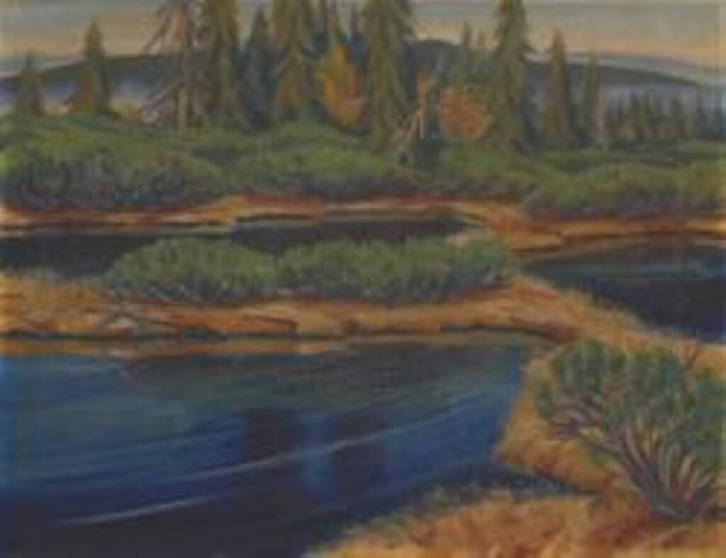 Museumsstück für das Projekt Waldinneres