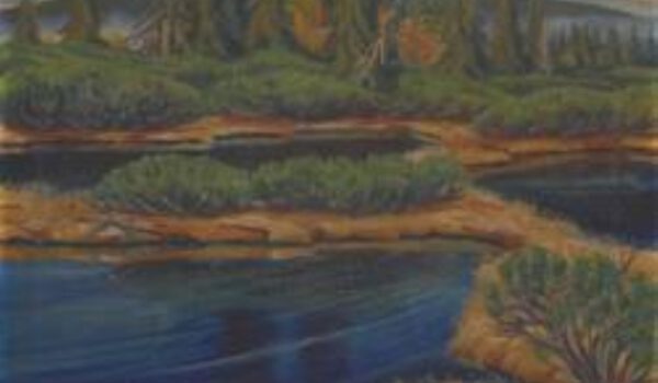 Museumsstück für das Projekt Waldinneres