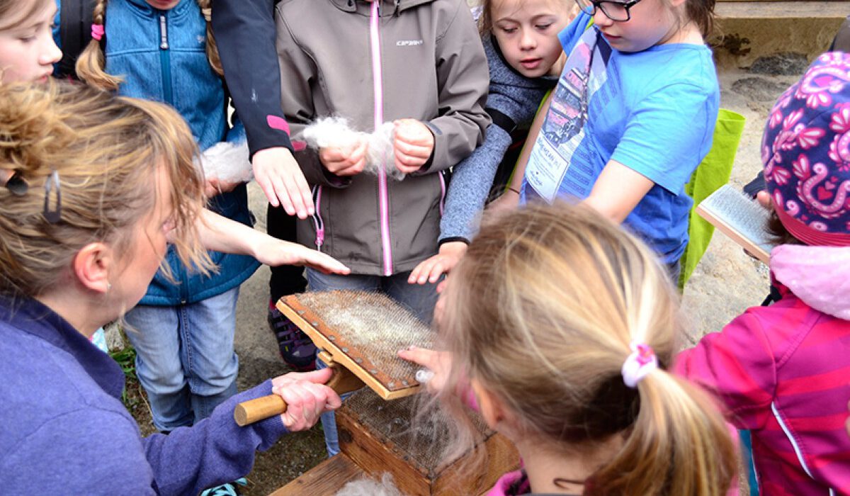 Vom Schaf zum Filzobjekt