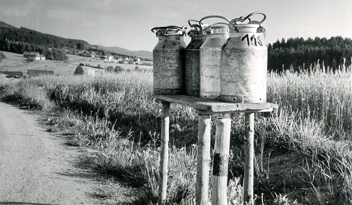 Von der Kuh bis zur Butter