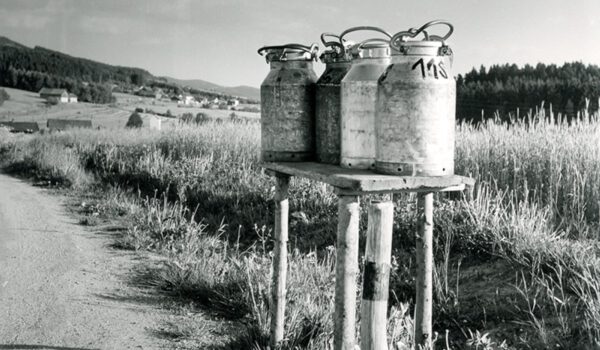 Von der Kuh bis zur Butter